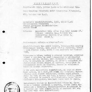 Részlet a Deportáltakat Gondozó Országos Bizottság által felvett jegyzőkönyvekből (Forrás: DEGOB-jegyzőkönyvek: 394, MZSL)
